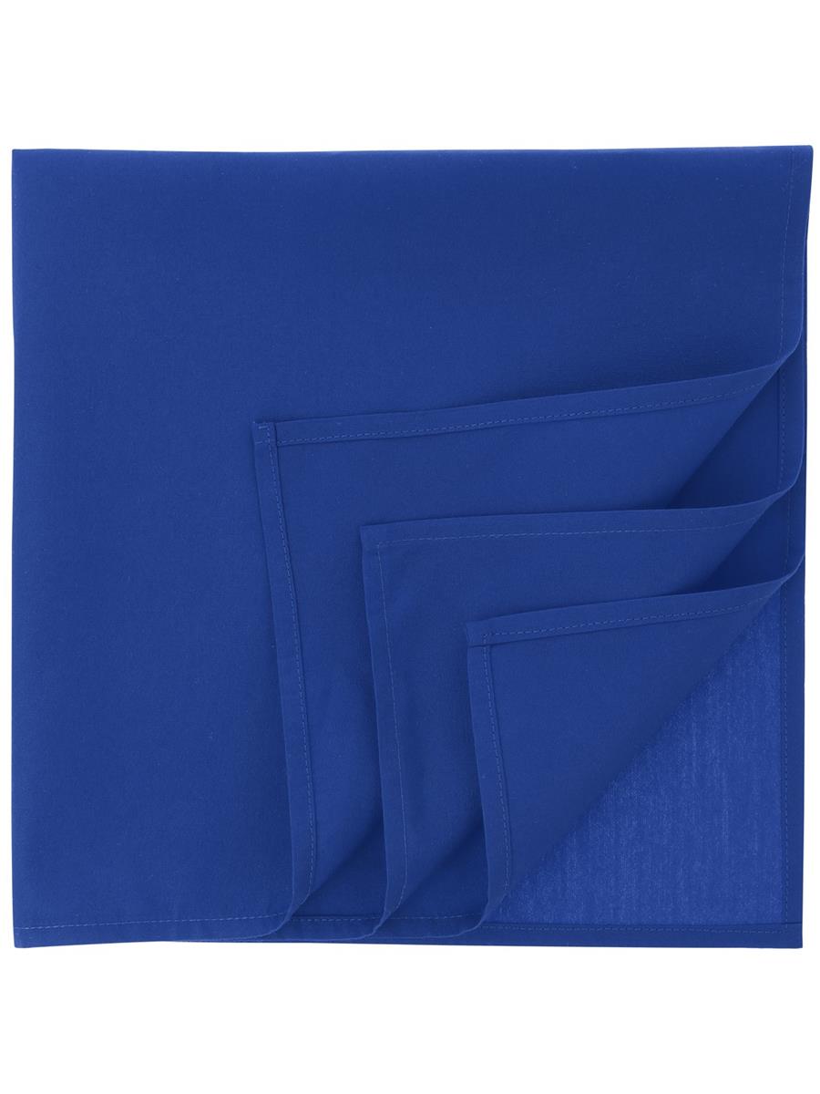 Blue bandana